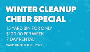 Winter Cleanup Special